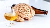 Чем больше алкоголя, тем быстрее стареет мозг