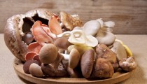 Употребление грибов может снизить риск рака простаты